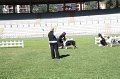 IMG_0584