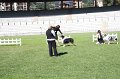 IMG_0585