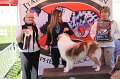 IMG_0589
