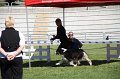 IMG_0634