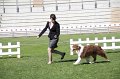 IMG_0648