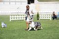 IMG_0651