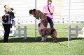 IMG_0654