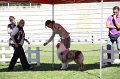 IMG_0655