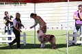 IMG_0656