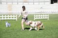 IMG_0657