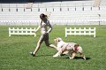 IMG_0659