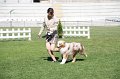 IMG_0660