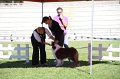 IMG_0661