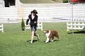 IMG_0663