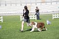 IMG_0664