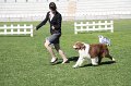 IMG_0665