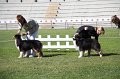IMG_0669