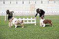 IMG_0670
