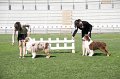 IMG_0671