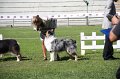 IMG_0672