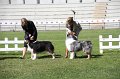 IMG_0677