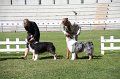 IMG_0678