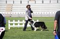 IMG_0679