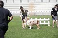 IMG_0680