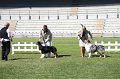 IMG_0683