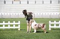 IMG_0686