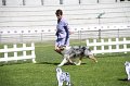 IMG_0204