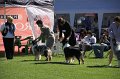 IMG_0209