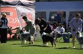 IMG_0210