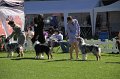 IMG_0211