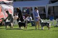 IMG_0213