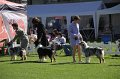 IMG_0214