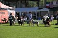 IMG_0215