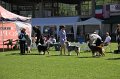 IMG_0216