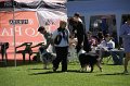 IMG_0219