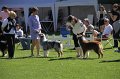 IMG_0221