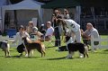 IMG_0223