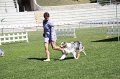 IMG_0241