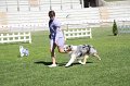 IMG_0242