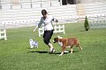 IMG_0251