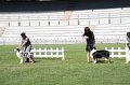 IMG_0264