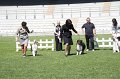 IMG_0271