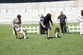 IMG_0272