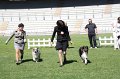 IMG_0273