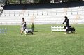 IMG_0275