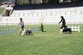 IMG_0276