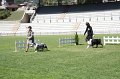 IMG_0277