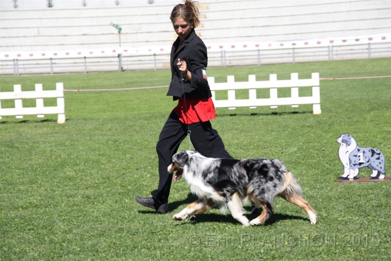 IMG_0135.JPG