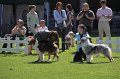 IMG_0121