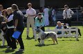 IMG_0128